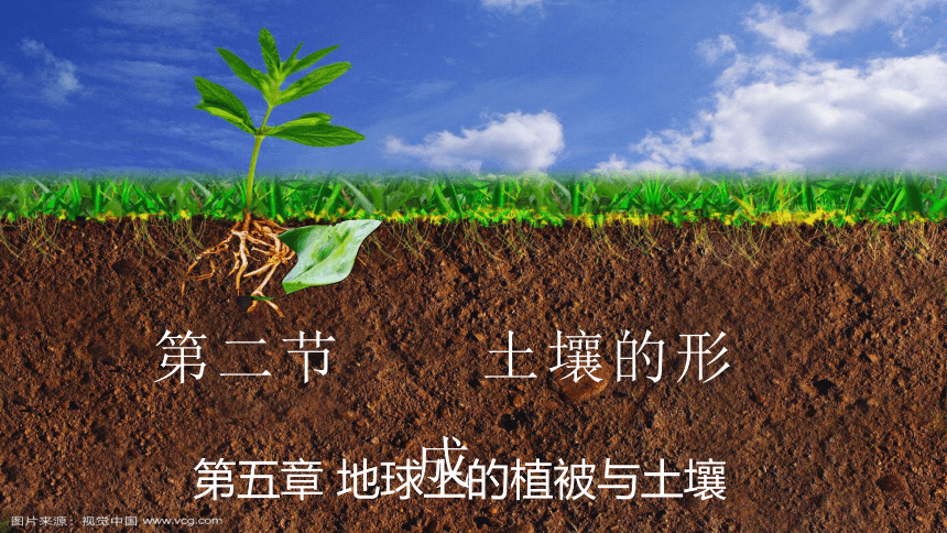 高中地理湘教版（2019）必修一5.2土壤的形成（共39张ppt）