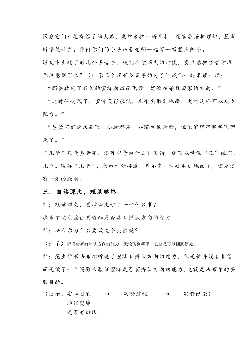 14 蜜蜂   表格式教案