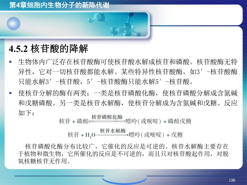 4.细胞内生物分子的新陈代谢_5 课件(共62张PPT）- 《环境生物化学》同步教学（机工版·2020）