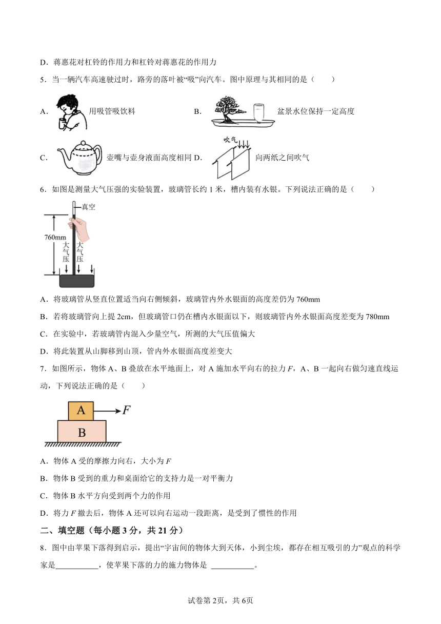 安徽省阜阳市南京路附属中学期中检测卷（含答案） 2023-2024学年人教版物理八年级下学期