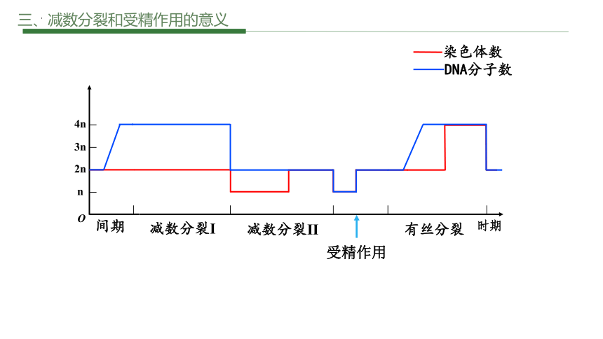 2.2基因在染色体上课件(共54张PPT)2022-2023学年高一下学期生物人教版必修2