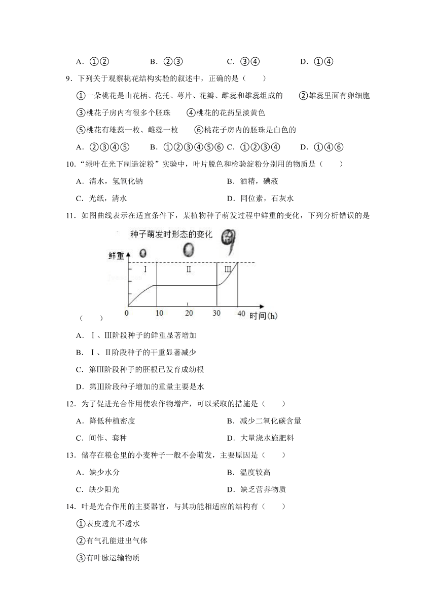 人教版生物七年级上册《第3单元 生物圈中的绿色植物》复习题（word版含解析）