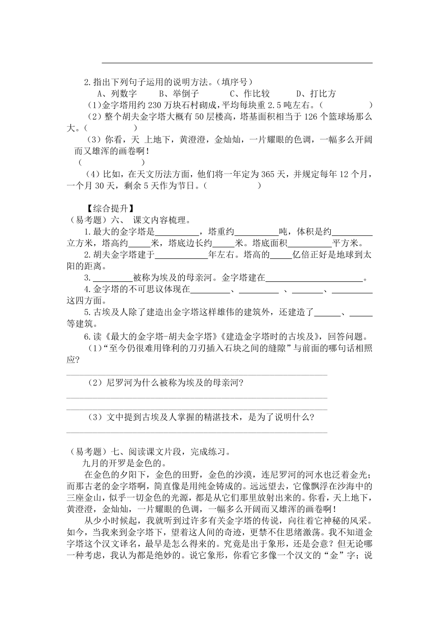 20金字塔 同步训练（含答案）