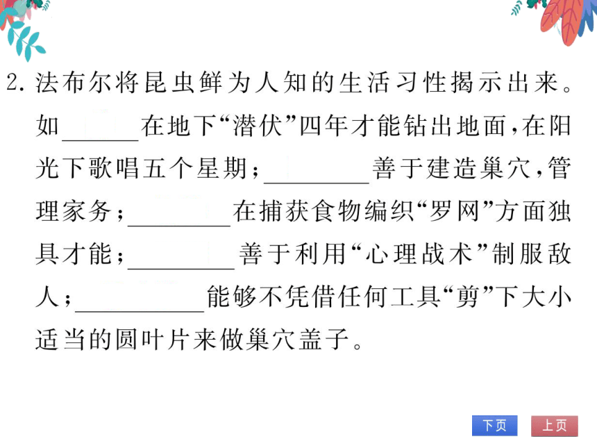 【统编版】语文八年级上册 第四单元 名著阅读（四） 习题课件