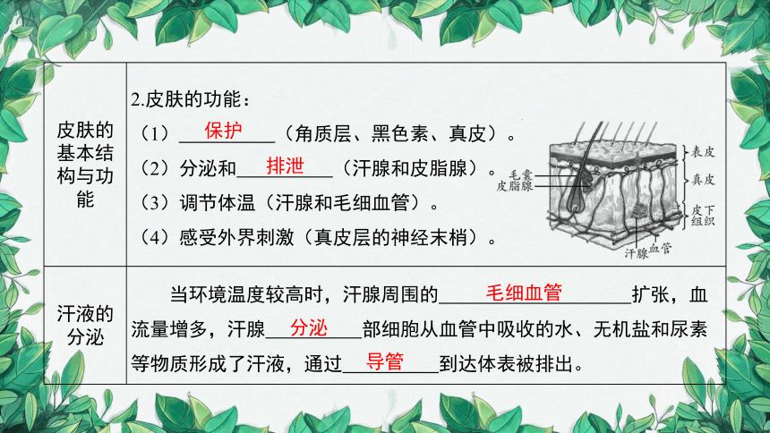 2023年中考生物复习 课题四 人体代谢废物的排出课件(共39张PPT)