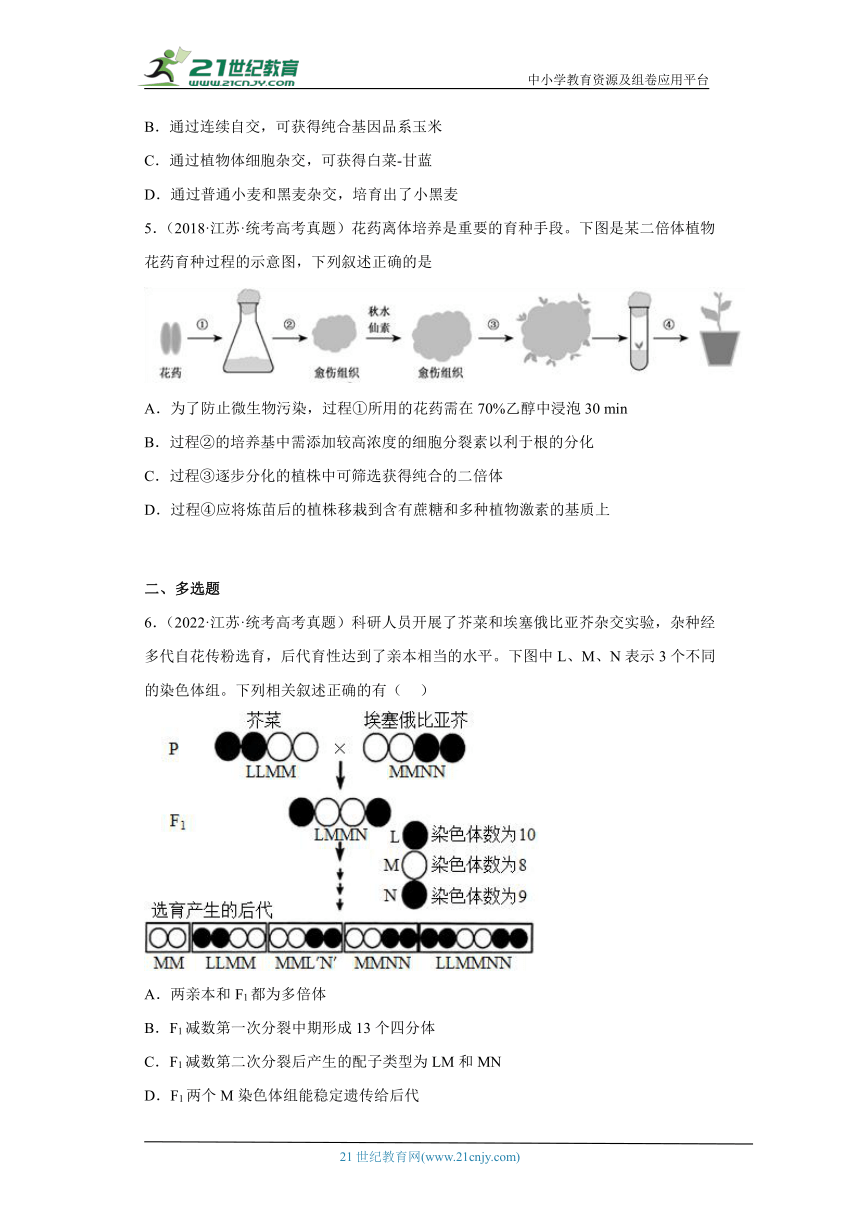 五年2018-2022高考生物真题按知识点分类汇编47-育种-杂交育种、诱变育种、单倍体育种、多倍体育种等（含解析）