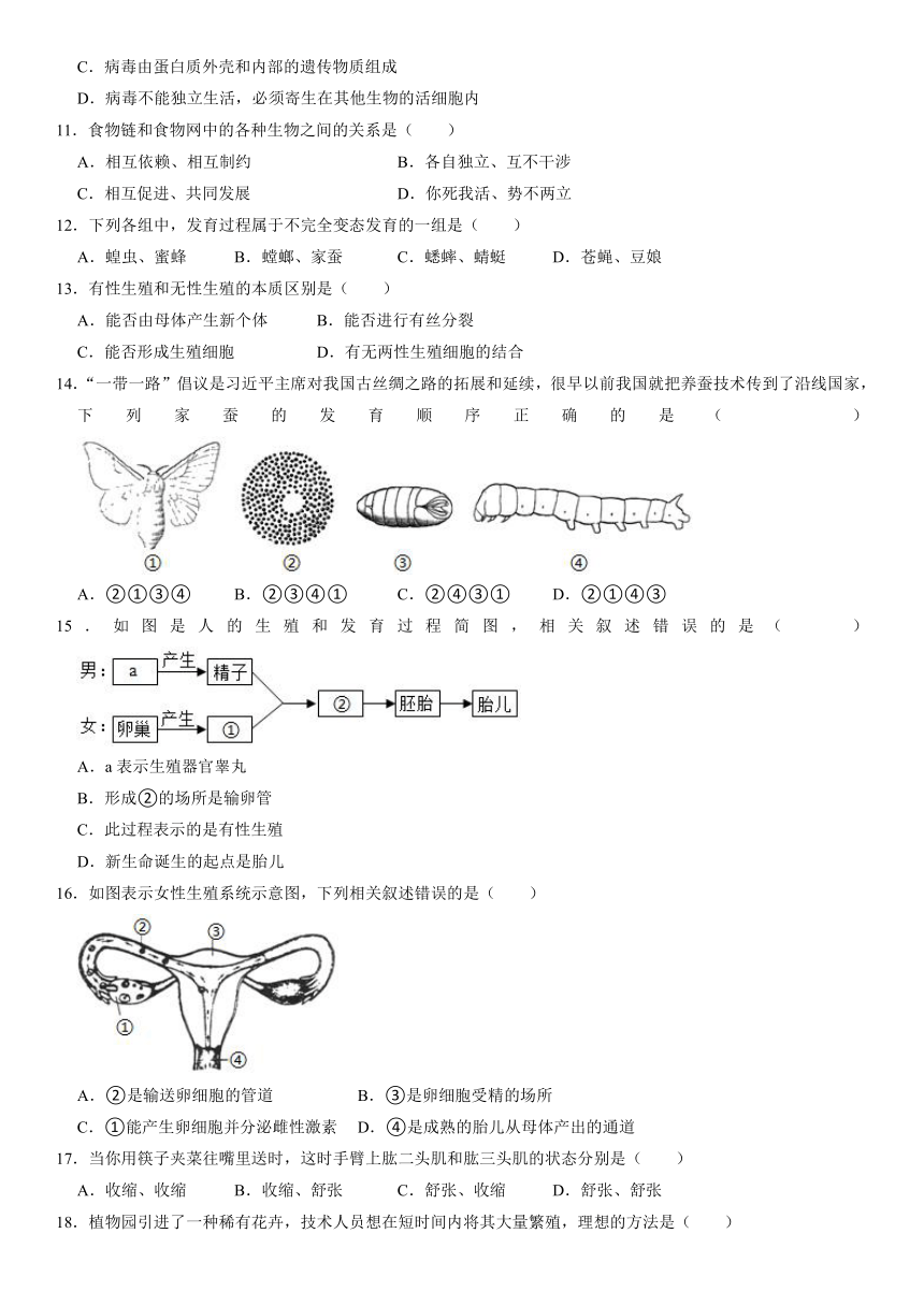 广东省韶关市乐昌市2021-2022学年上学期期末质量抽测八年级生物试卷（word版 含解析）