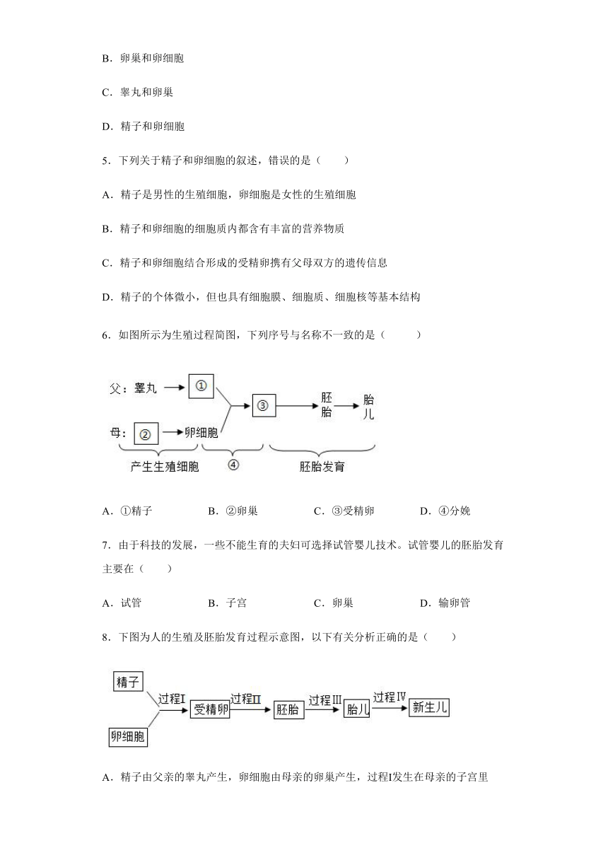 1.1 新生命的诞生 一课一练（含答案）