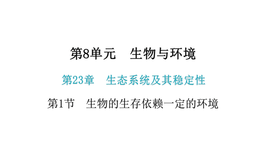 2020-2021学年八年级生物下册（北师大版）  23.1  生物的生存依赖一定的环境 课件（共28张PPT）