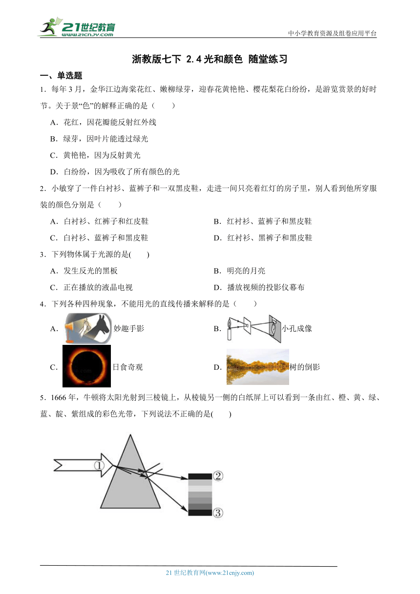 浙教版七下 2.4光和颜色 随堂练习（含解析）