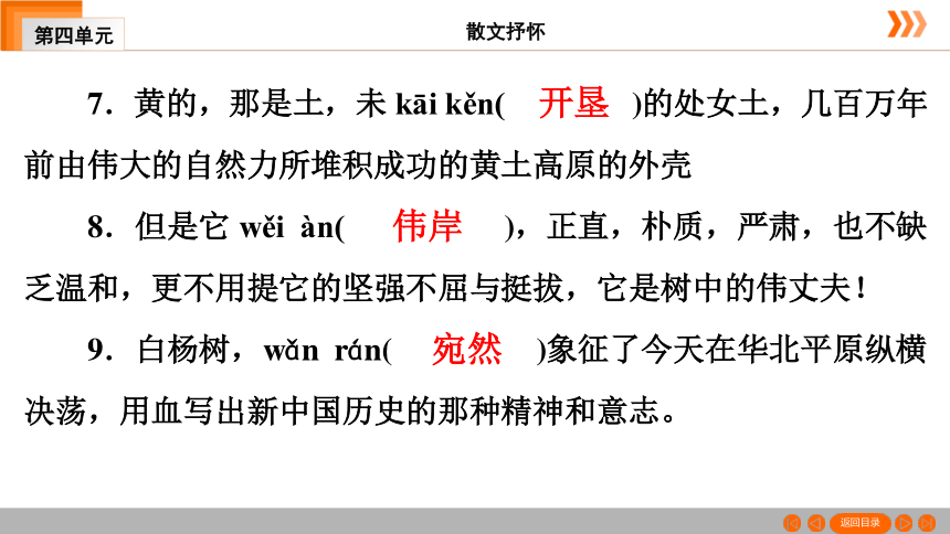 15 白杨礼赞习题课件（共49张幻灯片）