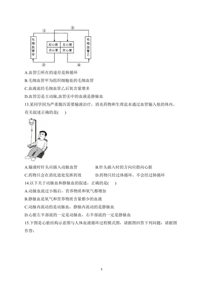 2023届中考生物高频考点专项练习：专题十 血液和心脏 综合练习（A卷）（含解析）