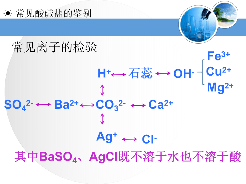 中考二轮专题复习 常见酸碱盐的鉴别 课件 （18张PPT）