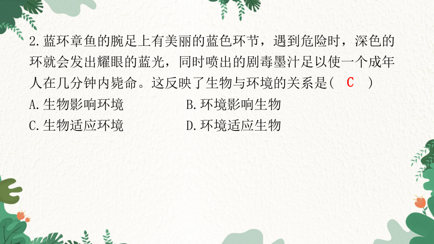 2023年广东省初中学业水平考试仿真试卷(一)课件(共42张PPT)