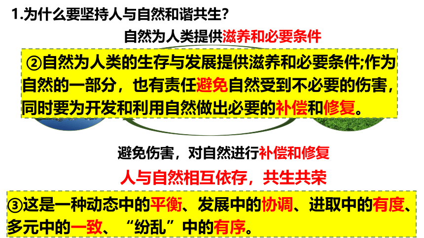 6.2   共筑生命家园   课件（26张ppt）