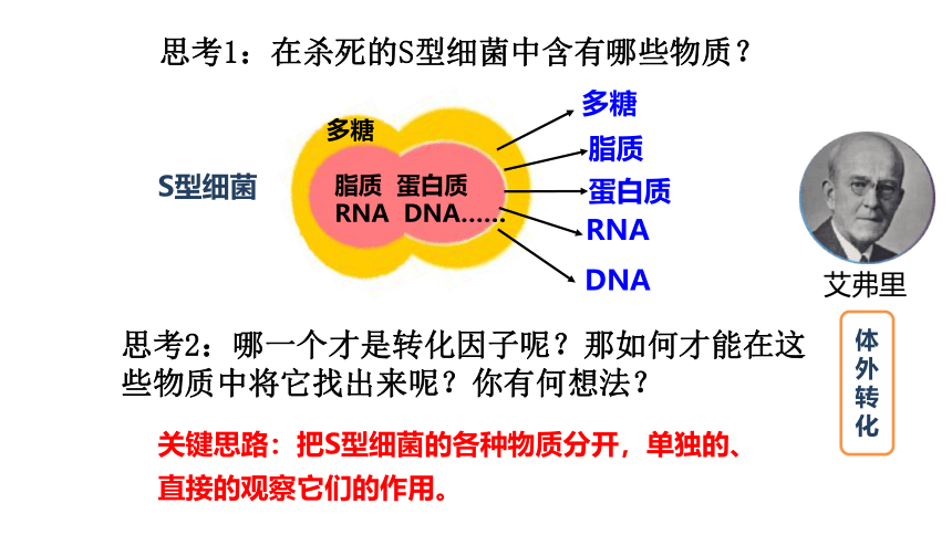 高中生物人教版（2019）必修2-3.1 DNA是主要的遗传物质课件(共30张PPT)