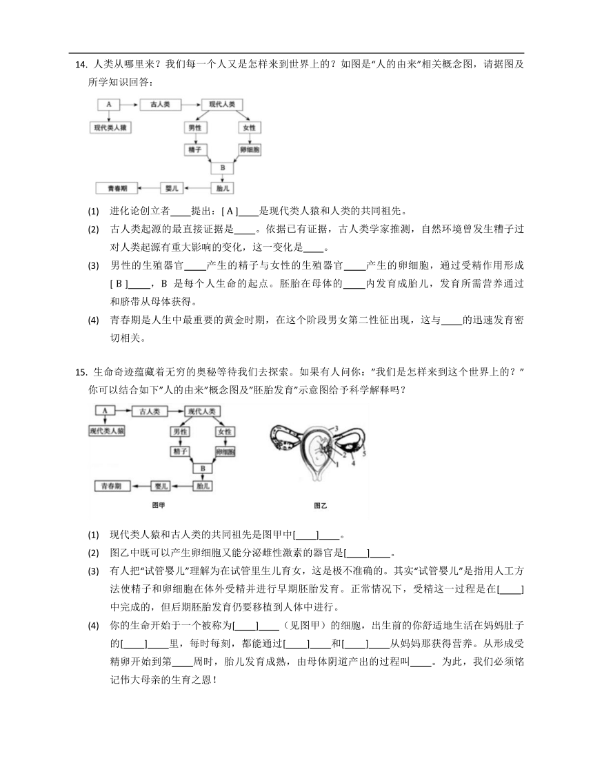 济南版八年级下5.2.1人类的起源（部分含解析）