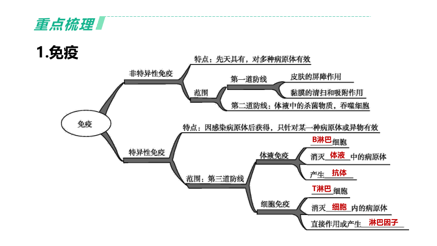 2022年浙江省中考科学一轮复习 第11课时　人、健康和环境（课件 30张PPT）