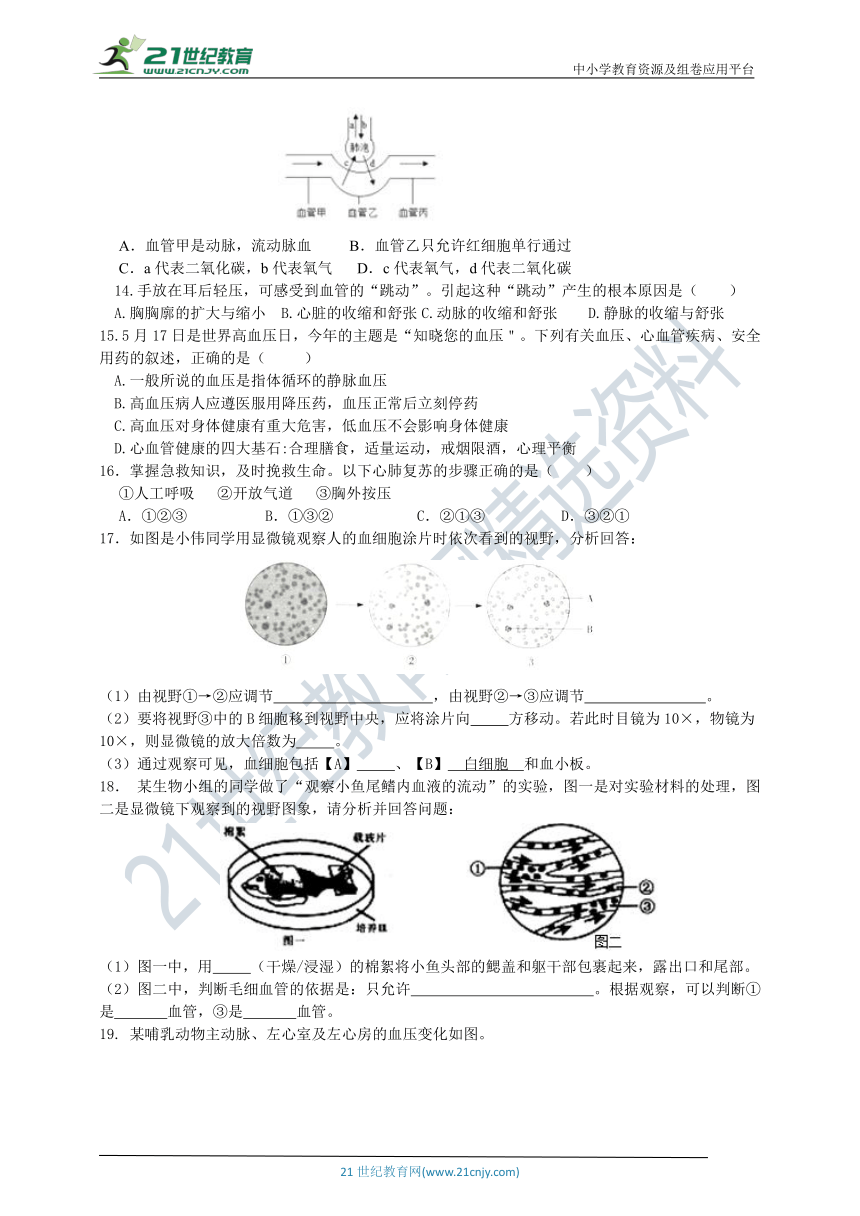 济南版七年级下第三章章末复习回顾提升（含答案）