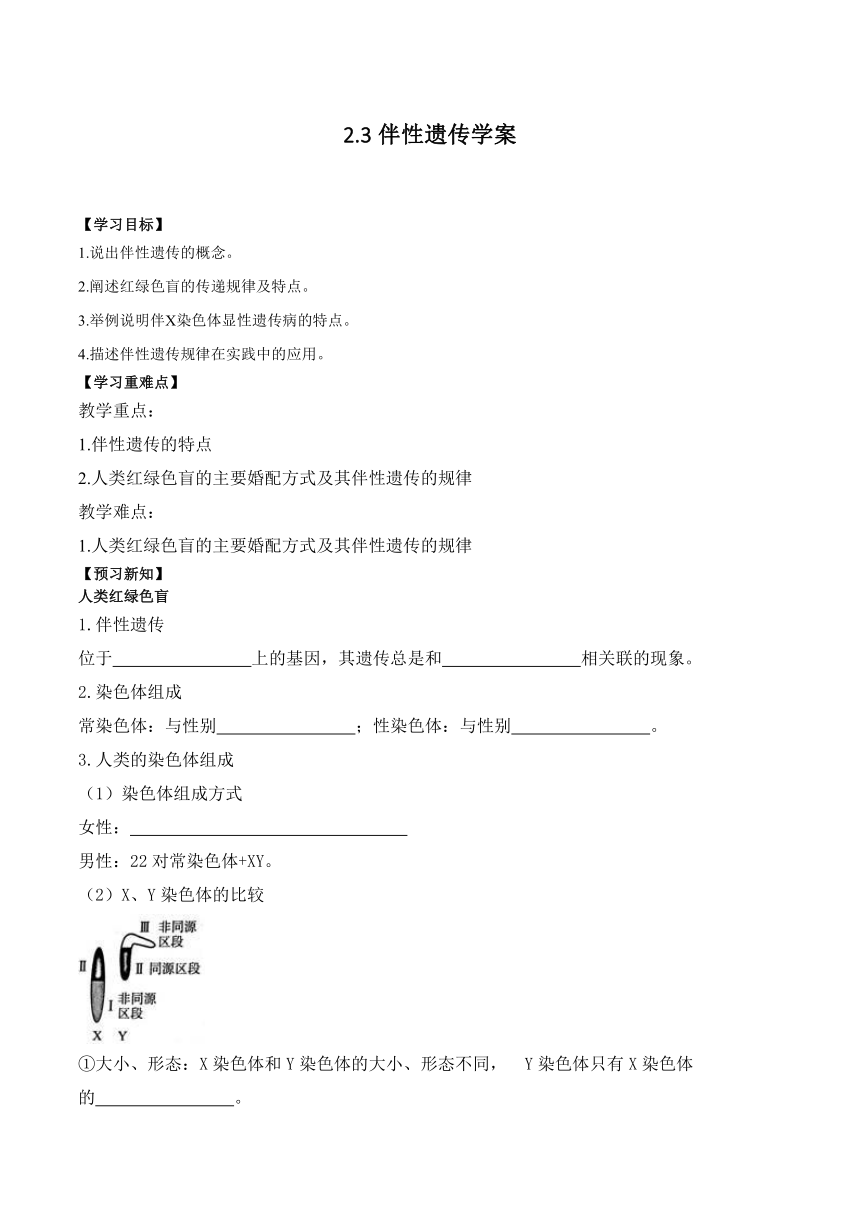 2.3伴性遗传的学案