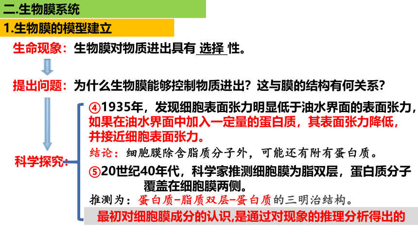 新人教必修1专题复习课件：08 细胞膜、生物膜系统、物质输入输出(共80张PPT)