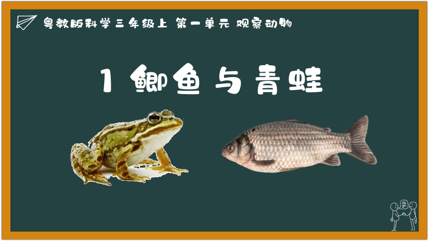 粤教粤科版（2017秋） 三年级上册1.1《鲫鱼与青蛙》（课件）(共19张PPT)