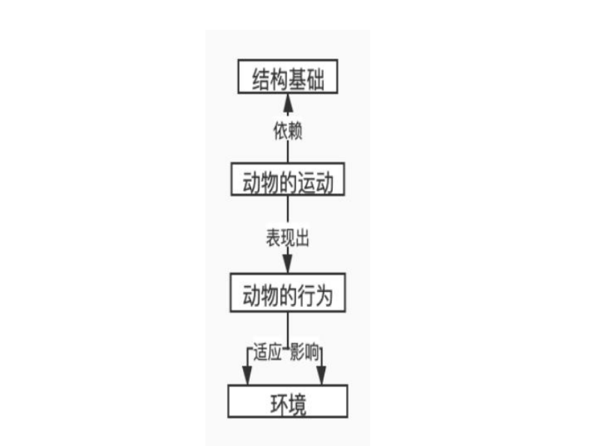 人教版生物八年级上册 第五单元 第二章 动物的运动和行为& 第三章动物在生物圈中的作用 单元教学指导课件（共40张PPT）