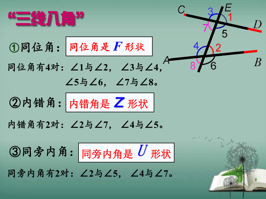 【精选备课】2022-2023学年华师大版数学七年级上册 5.2.3 平行线的性质 课件(共19张PPT)