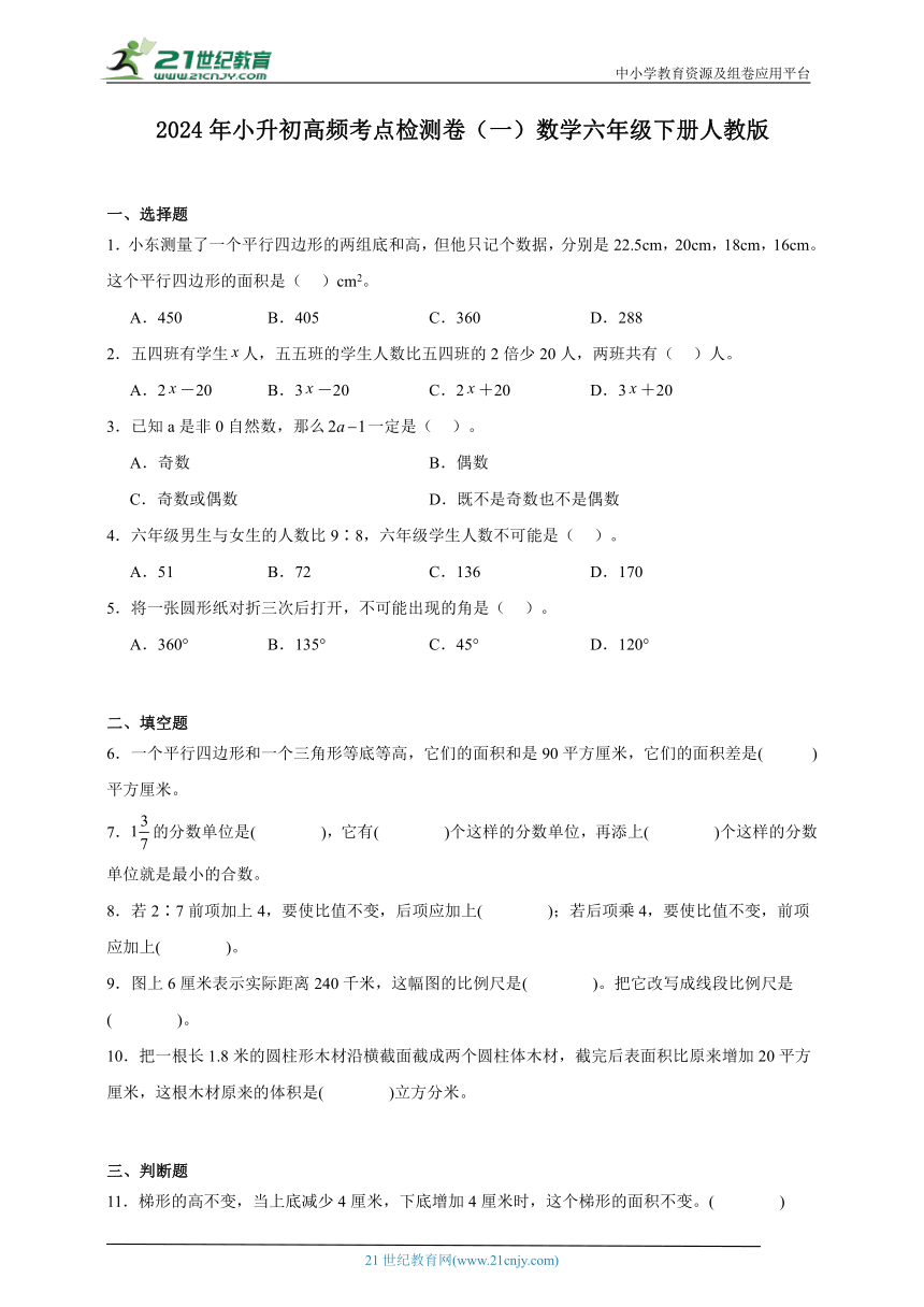 2024年小升初高频考点检测卷（一）数学六年级下册人教版（含解析）