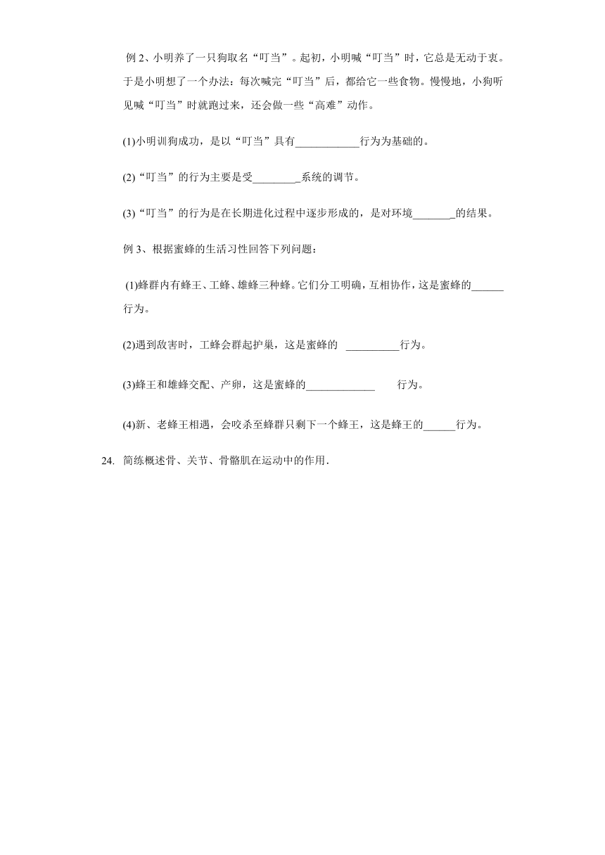 人教版八年级生物上册 5.2 动物的运动和行为 单元测试卷（含解析）