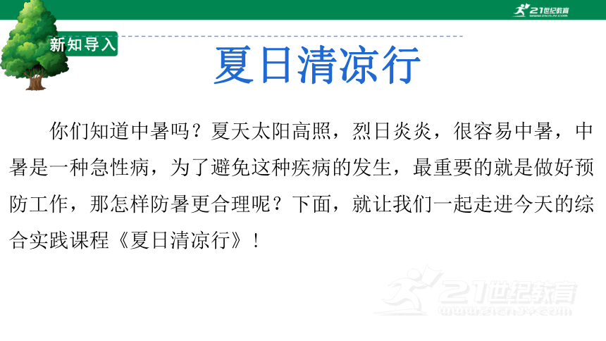 2.3 清凉夏日行 课件——二年级综合实践活动下册（浙教版）