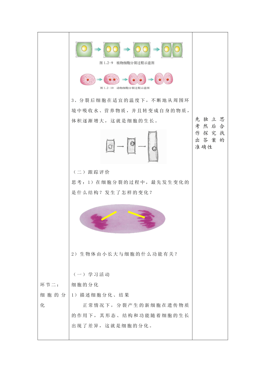 1.2.2细胞的分裂与分化教案（表格式）