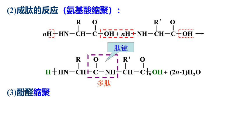 人教版（2019）高二化学选择性必修三 5第五章 合成高分子 单元小结 课件（32张ppt）