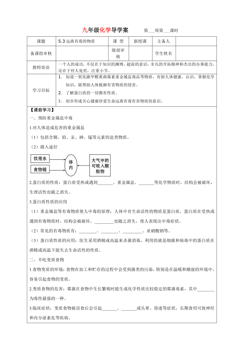 5.3远离有毒的物质 导学案—鲁教版（五四制）九年级全册