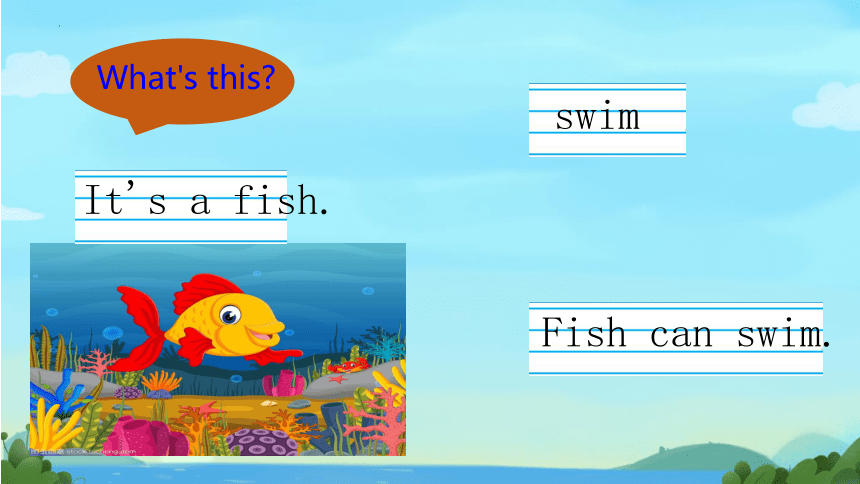 Unit1 Lesson3 Fish and birds 课件(共20张PPT)