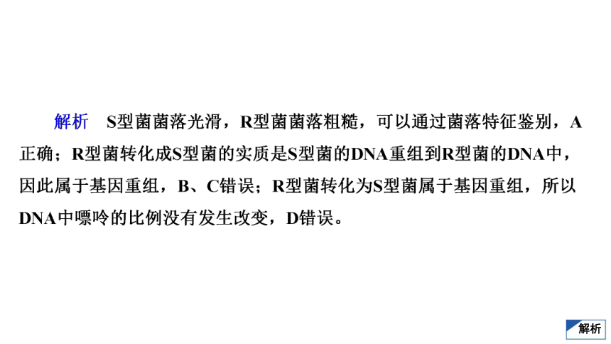 高考生物热点集训7　遗传的分子基础(共35张PPT)