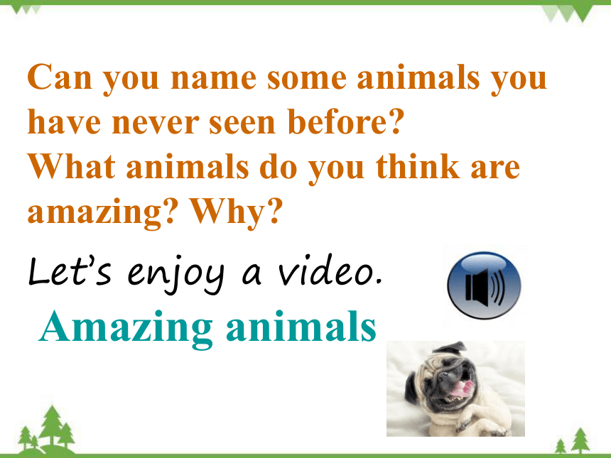 Unit3 Animals Are Our Friends L14 amazing animals 课件（共23张PPT）