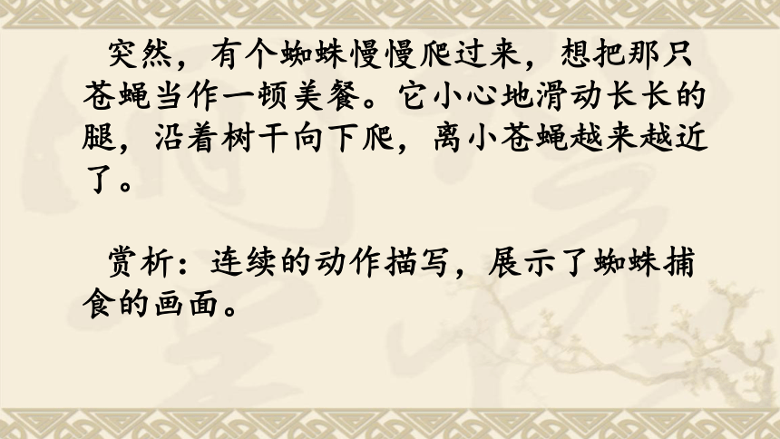 统编版四年级语文下册第二单元知识点  课件(共19张PPT)