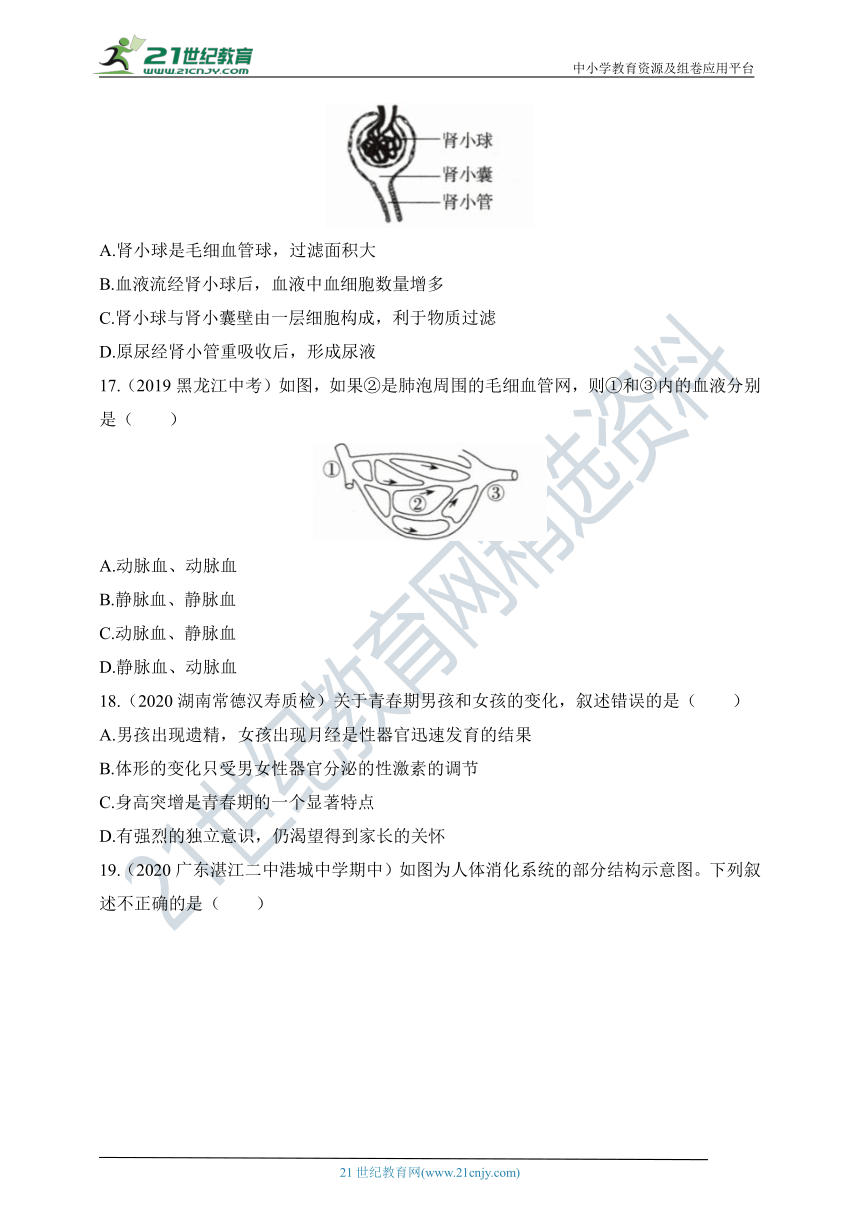 人教版七年级生物下册期末测试（一）（含解析）