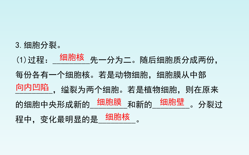 人教版七年级生物上册第二单元_第二章 细胞怎样构成生物体 复习课件（共27张PPT）