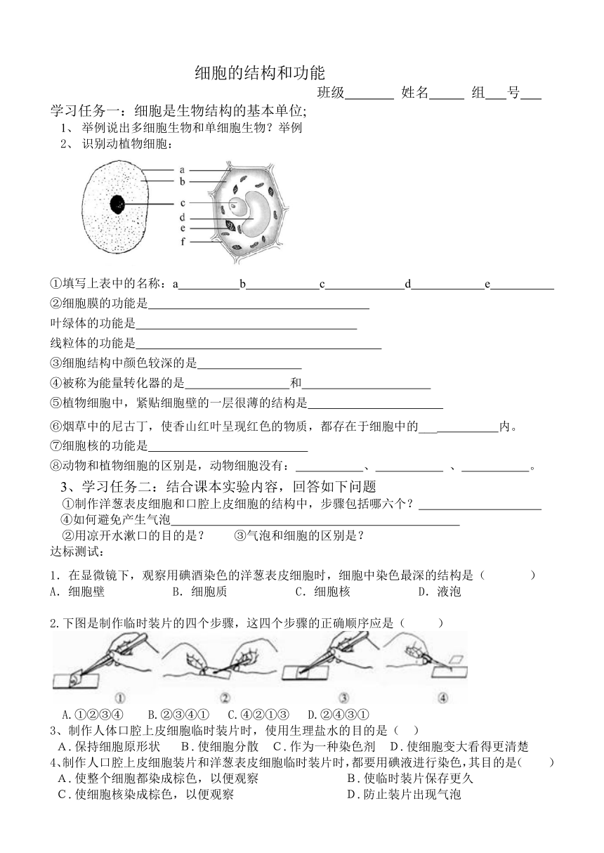 济南版生物七上 1.2.1 细胞的结构和功能   学案（无答案）