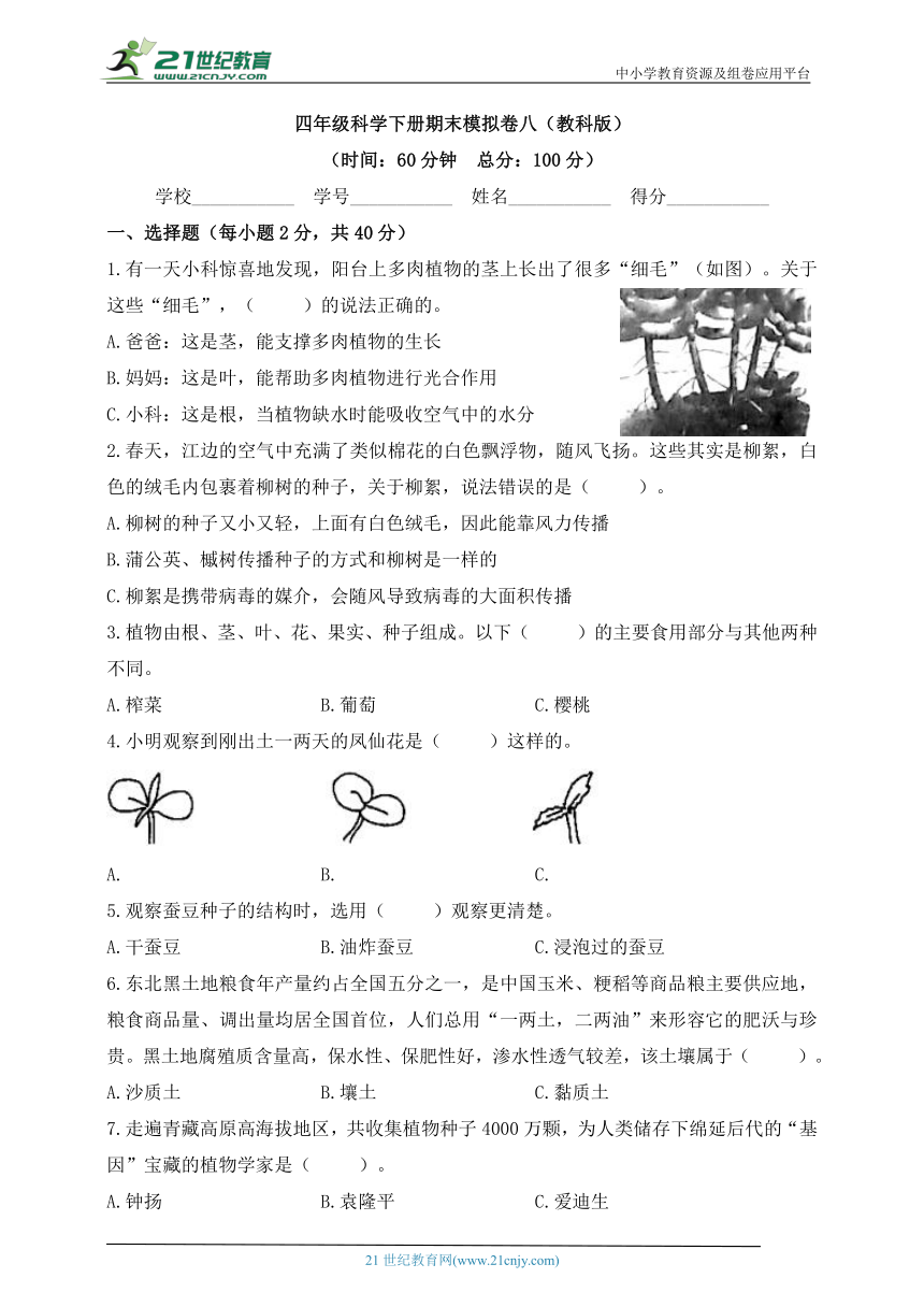 教科版（2017秋）四年级科学下册期末模拟卷八（含答案）