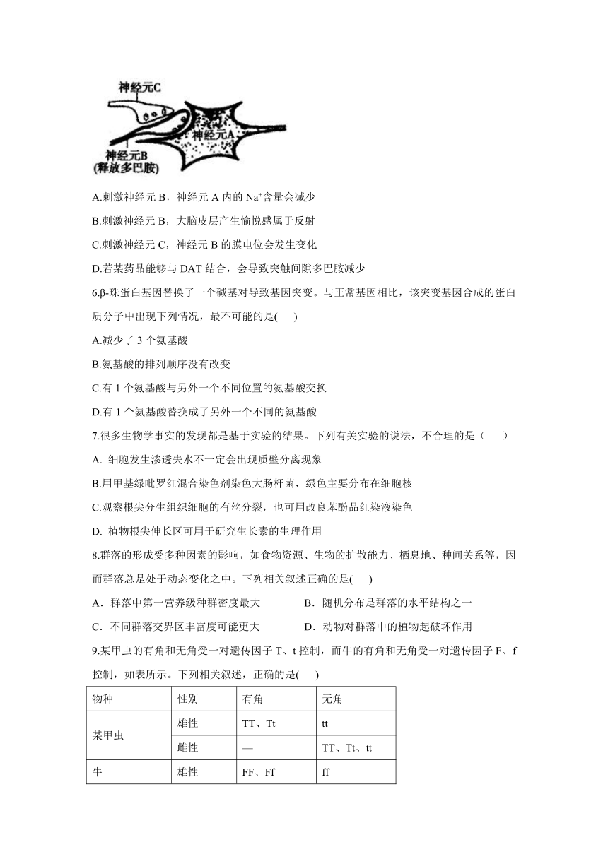 2021届高考生物终极押题卷 新高考版 （广东专版） Word版含解析