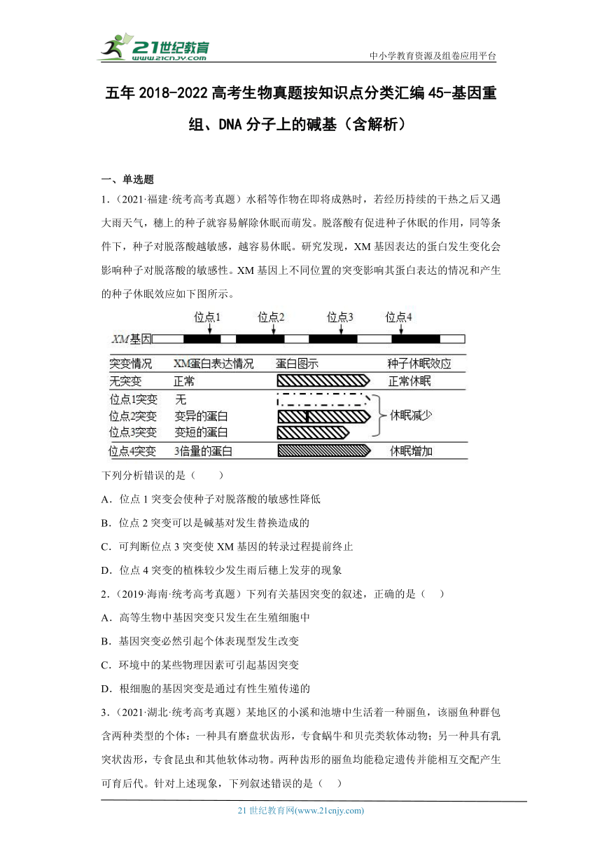 五年2018-2022高考生物真题按知识点分类汇编45-基因重组、DNA分子上的碱基（含解析）