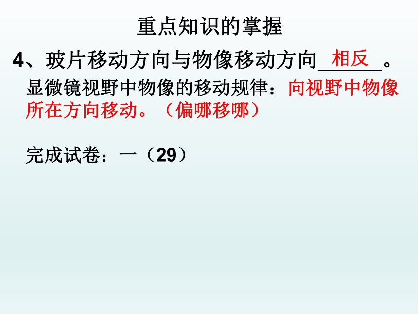 人教版七年级生物上册第二单元生物体的结构层次期中复习课件(共19张PPT)