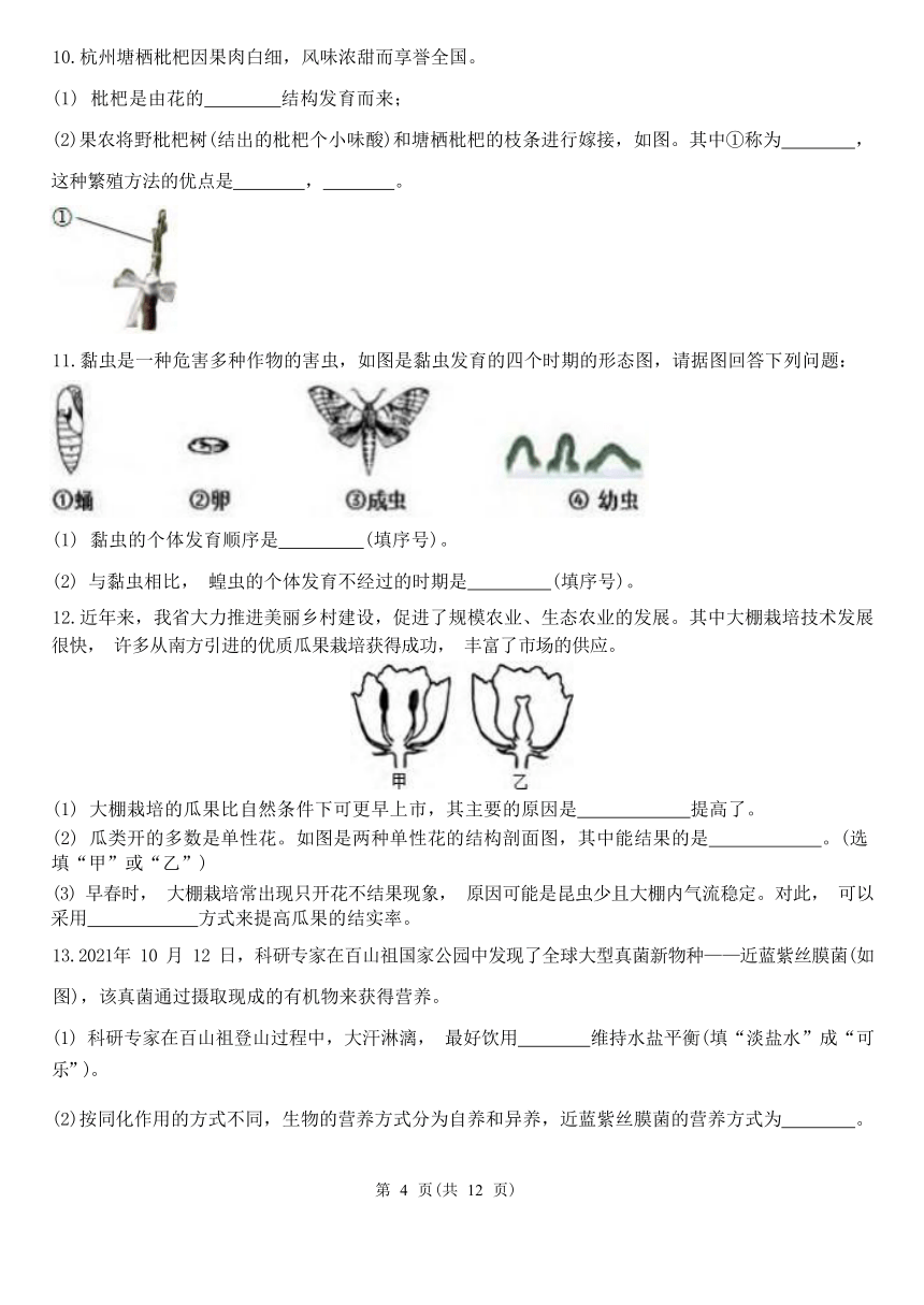 填空题1-期中分题型复习（第1章 代代相传的生命 含解析）