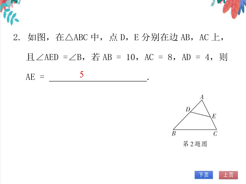 【北师大版】数学九年级（上）4.4.1 探索三角形相似的条件（1） 习题课件