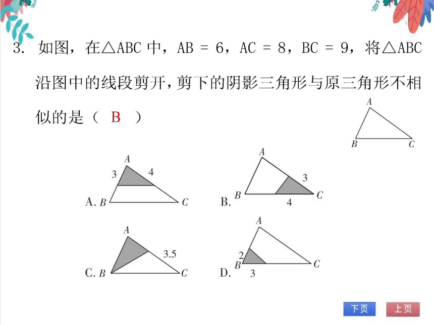 【北师大版】数学九年级（上）4.4.3 相似三角形的判定综合 习题课件