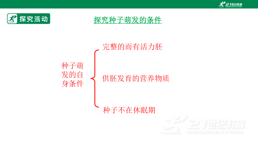 4.1.4 种子的萌发-2022-2023学年八年级生物上册同步课件（济南版）(共35张PPT)