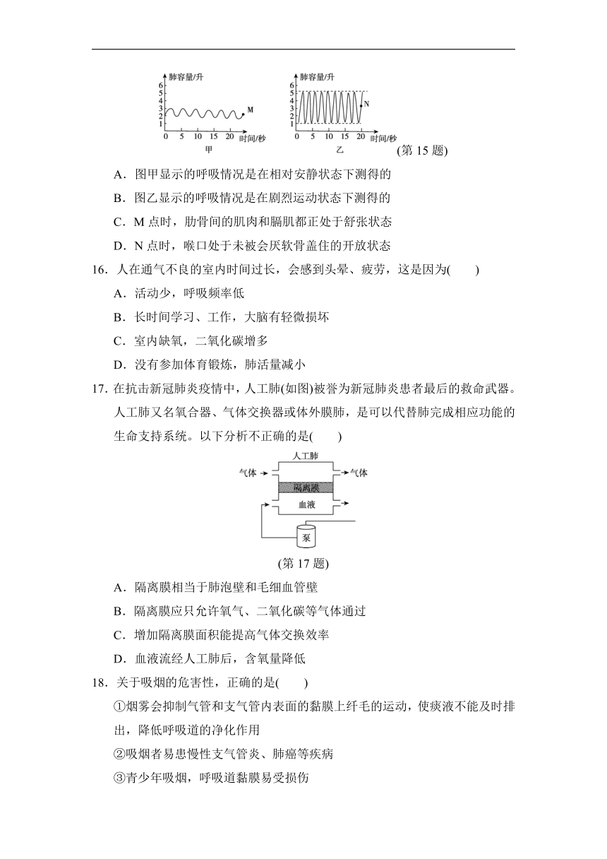 第四单元第三章人体的呼吸测试卷-2021-2022学年人教版七年级生物下册（Word版 含答案）